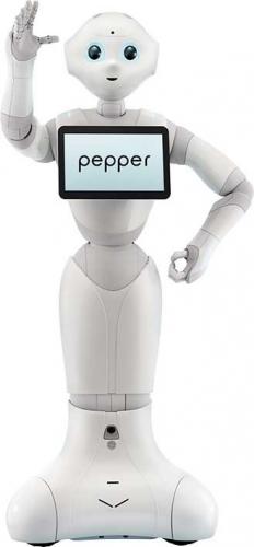 Pepper for Academics