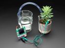 Adafruit Bonsai Buckaroo - micro:bit & CLUE Plant Care Helfer