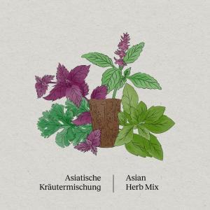 BerlinGreen PlantPlugs, Asiatische Kräutermischung, 8er-Pack