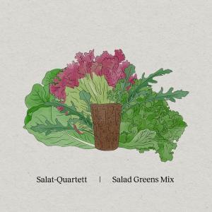 BerlinGreen PlantPlugs, Salat-Quartett, 8er-Pack
