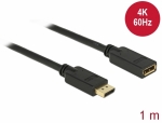 DisplayPort 1.2 Verlngerungskabel 4K 60Hz - Lnge: 1,00 m
