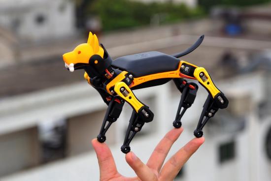 Petoi Bittle - Bionic Open-Source Roboterhund
