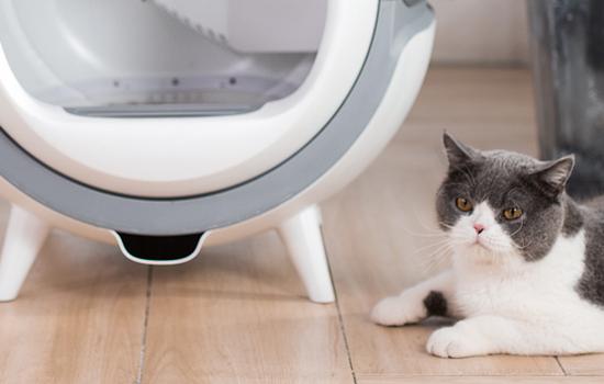 Petwant intelligente selbstreinigende Katzentoilette