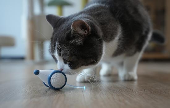 Cheerble Wicked Mouse Interaktives Katzenspielzeug, blau
