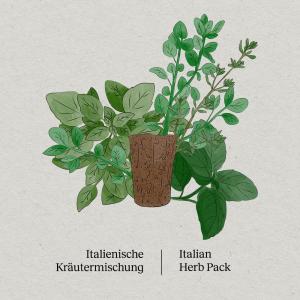BerlinGreen PlantPlugs, Italienische Krutermischung, 8er-Pack